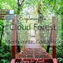 Exploring the Cloud Forest in Monteverde, Costa Rica