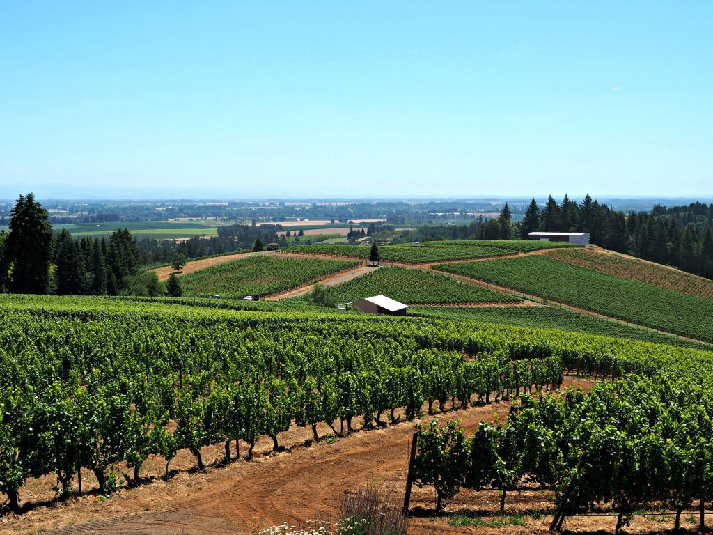 Willamette Valley, where to go in Willamette Valley, what to see in Willamette Valley, Willamette Valley travel guide, best wineries in Willamette Valley, wineries in Willamette Valley, where to stay in Willamette Valley