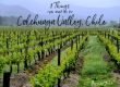 Colchuaga valley chile, what to see in colchuaga valley, what to do in colchuaga valley, what to see in colchuaga valley, where to stay in colchuaga valley, hotels in colchuaga valley, best wineries to visit in colchuaga valley, wineries in colchuaga valley, vina neyen chile, viu manent chile, vina santa maria chile, hotel santa maria, santa maria chile, santa maria colchuaga valley,