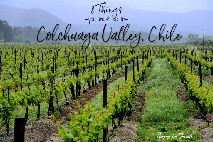 Colchuaga Valley Colchuaga valley chile, what to see in colchuaga valley, what to do in colchuaga valley, what to see in colchuaga valley, where to stay in colchuaga valley, hotels in colchuaga valley, best wineries to visit in colchuaga valley, wineries in colchuaga valley, vina neyen chile, viu manent chile, vina santa maria chile, hotel santa maria, santa maria chile, santa maria colchuaga valley,