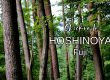 Mount Fuji hotels, where to stay at Mount fuji, luxury hotel by mount fuji, mount fuji hotels, hoshinoya, hoshinoya hotels, japan, where to stay in japan, luxury hotels japan,best hotels to stay in japan, hoshinoya mount fuji, luxury japan hotel, glamping at mount fuji, glamping, best glamping spots