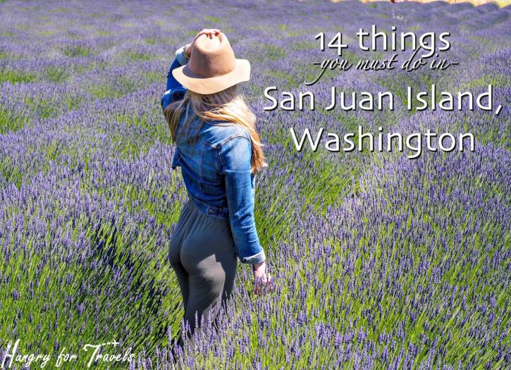 San Juan Islands San Juan islands, what to do in San Juan islands, San Juan island, washington